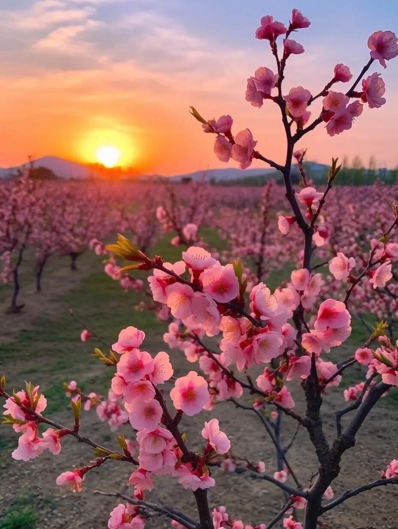 下联：柳絮千丝秀色长

赏析：此联以春日芳菲为画轴，上联“桃花一径”绘嫣红，下联