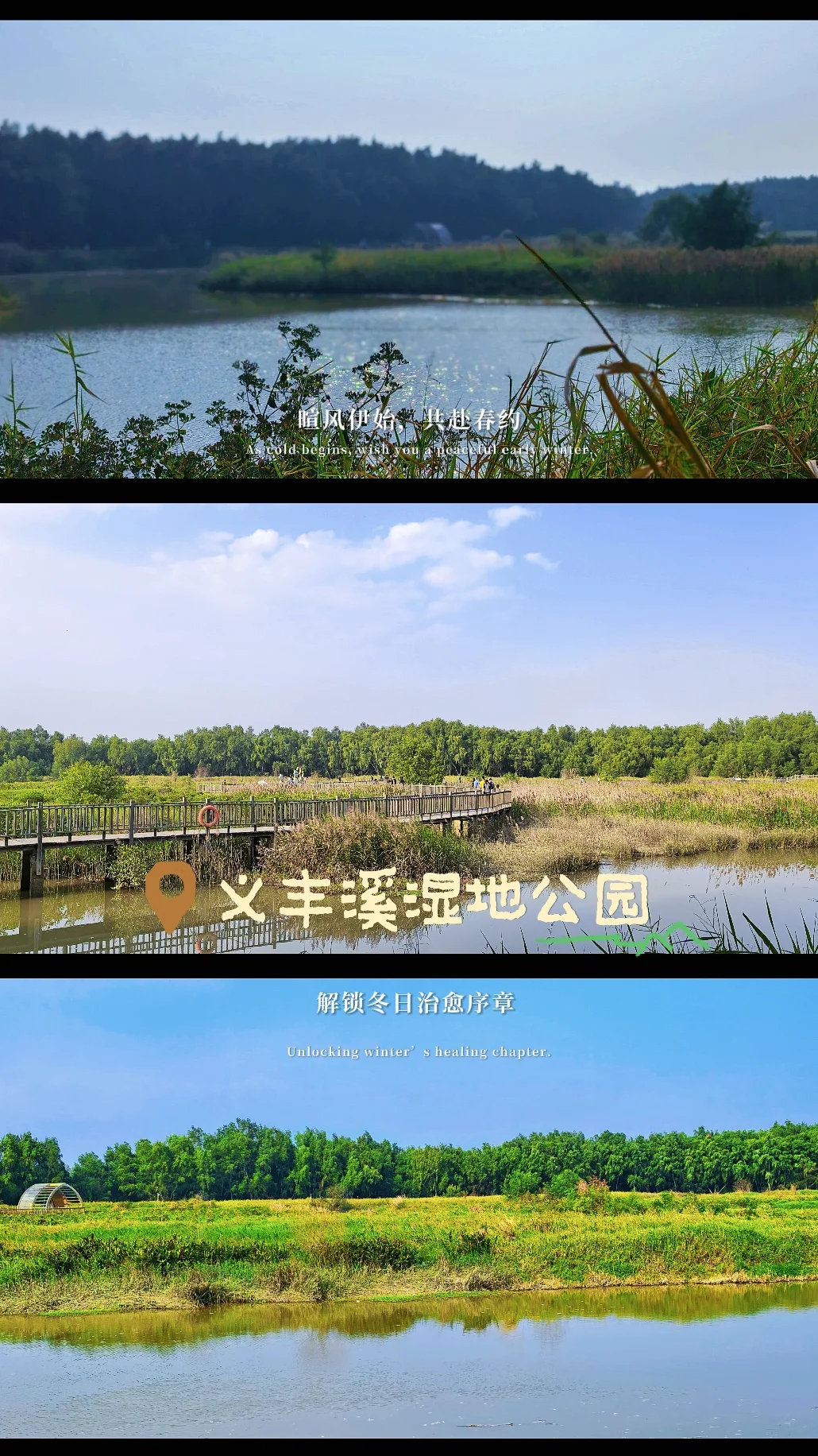 汕头📍2000亩红树林，美到失语的海上森林
