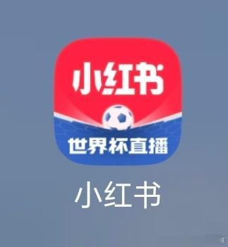 🍠加上这个世界杯图标以后感觉变味道了……太像虎扑了救