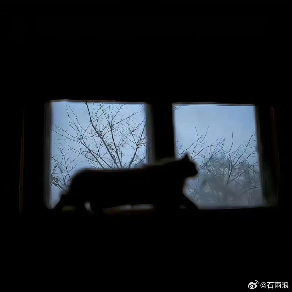 “感觉自己已经走了很远很远，依旧无法看清前方的路。”我到底有多少东西治愈心灵鸡汤
