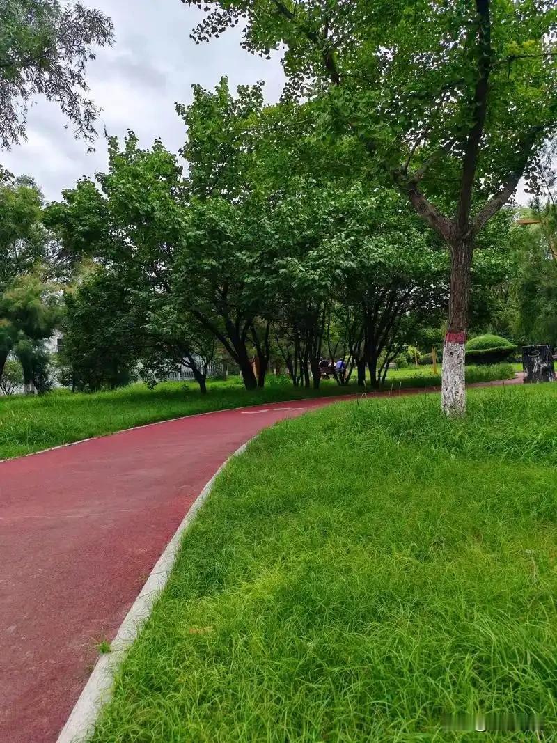 宣化万柳公园真是一个适合散步与接地气的地方。您看那健身步道，大都在树荫下，夏天走