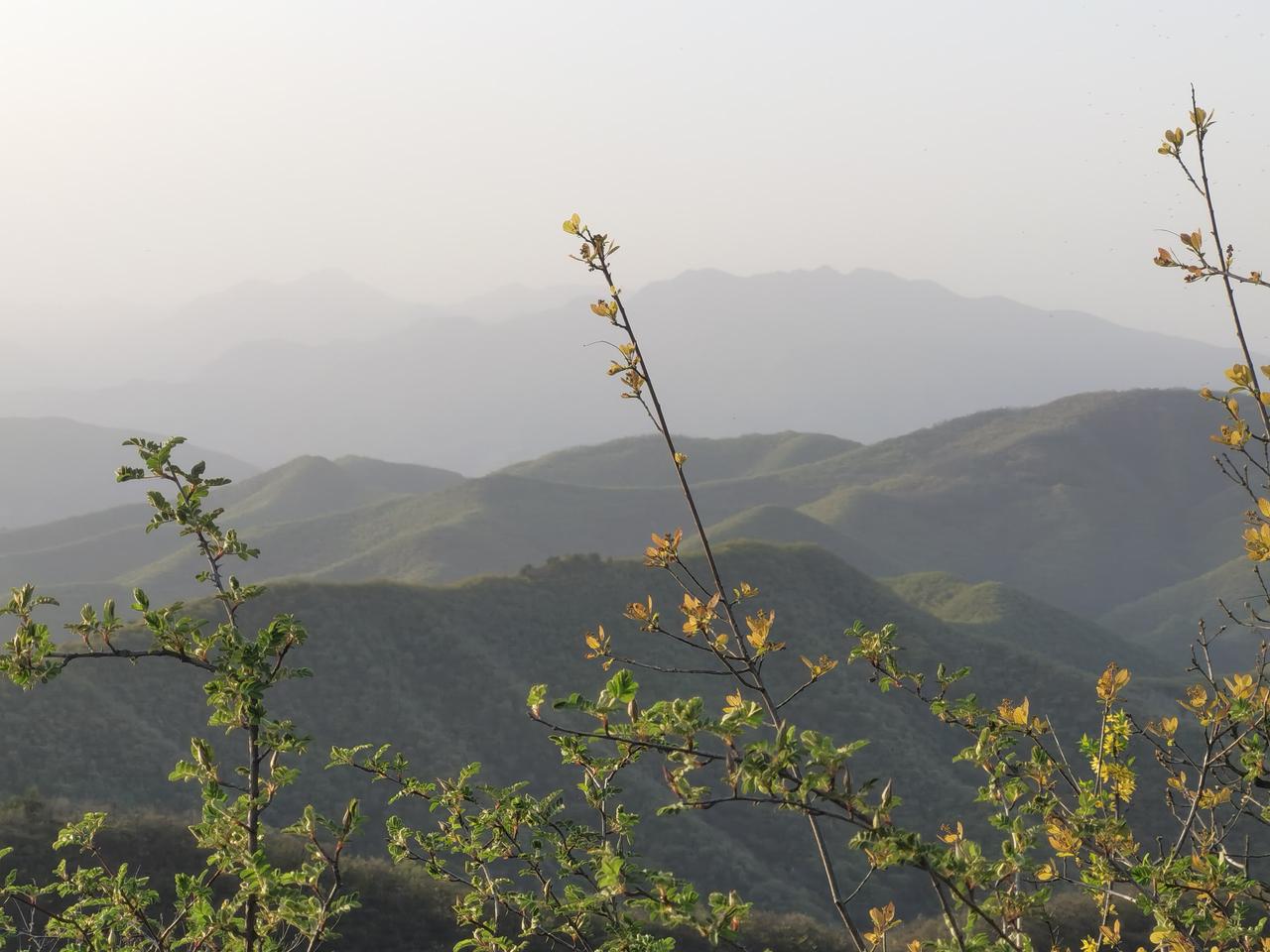 关于保研：通俗来讲，保研就是免试攻读硕士研究生。不同院校层次的保研率差异显著，许