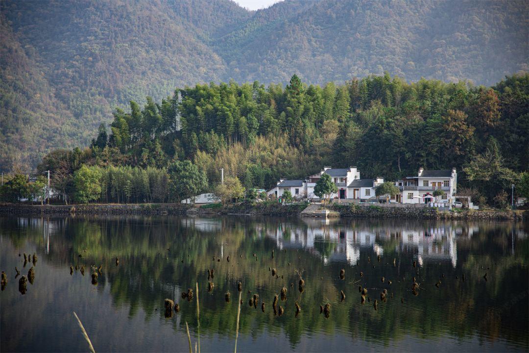 🚗退休老友们看过来！从上海出发，来一场皖南川藏线自驾游，住进青龙湾旁休闲民宿，
