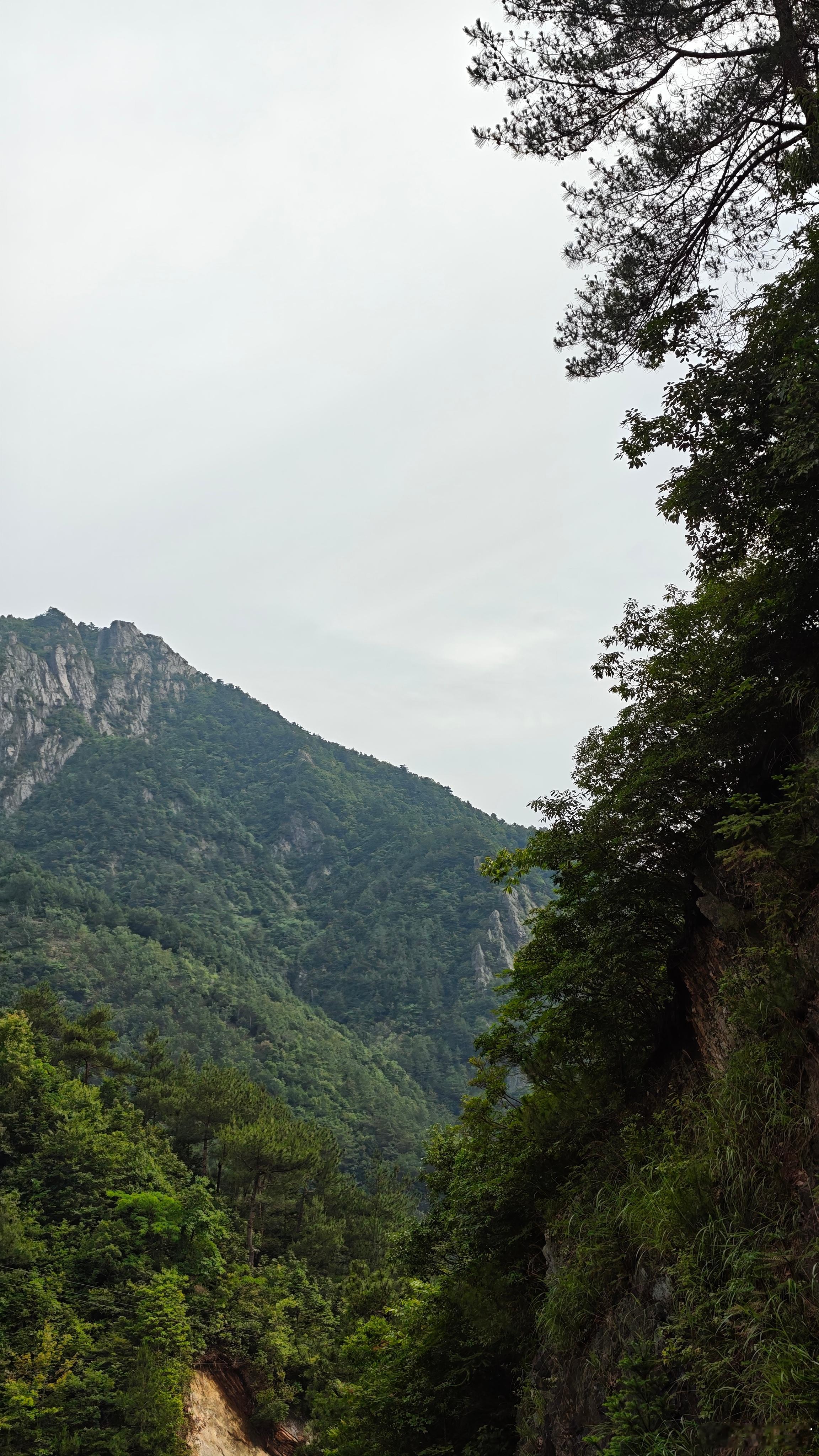 青山似欲留人住，百匝千遭绕郡城 