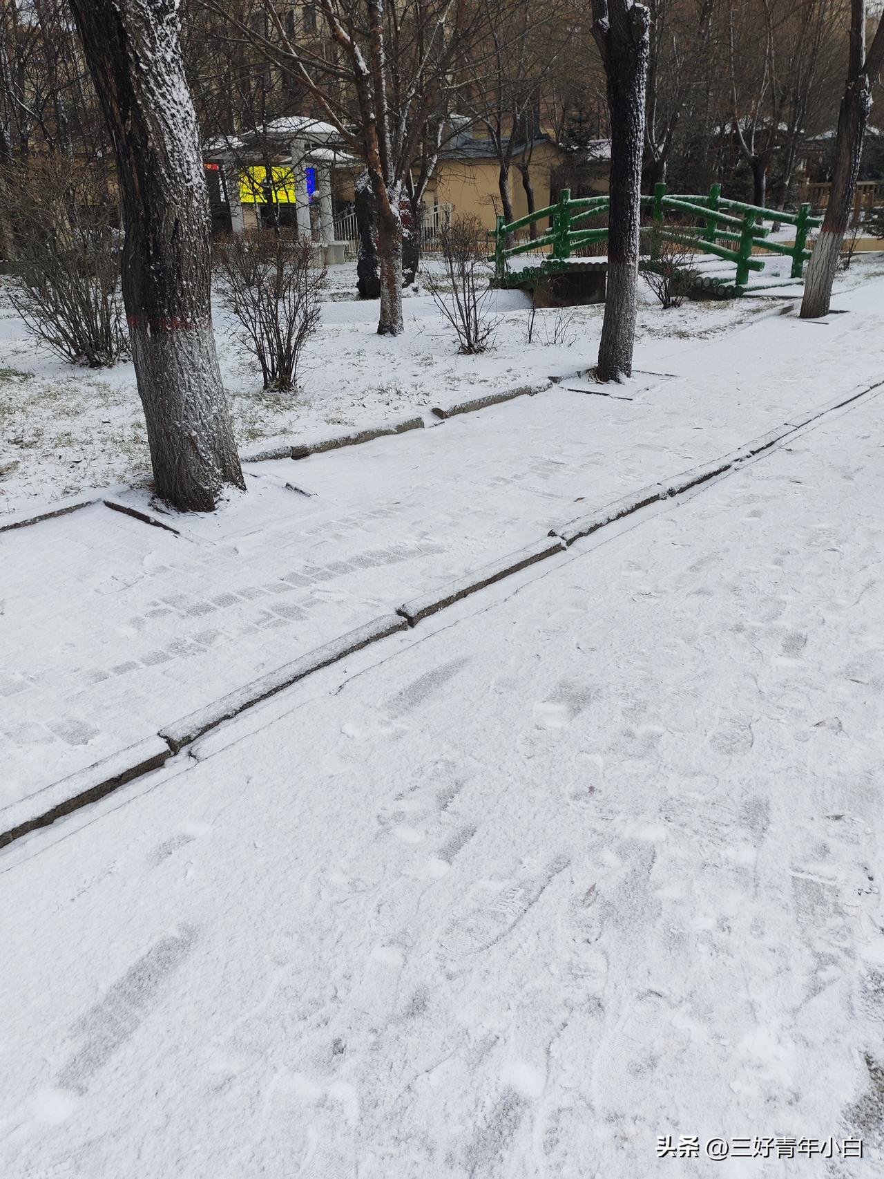 下雪了，这场雪不算大，应该是今年的第三场雪，伴随而来的还有降温，大幅度降温。