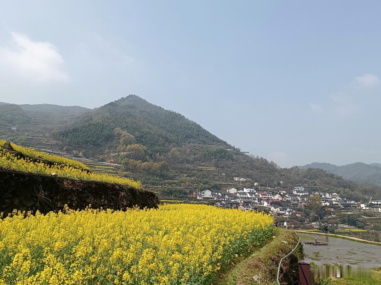 诸葛亮对后主说：“我在成都有八百株桑树、十五顷薄田，子孙衣食足够自给。我绝不会多
