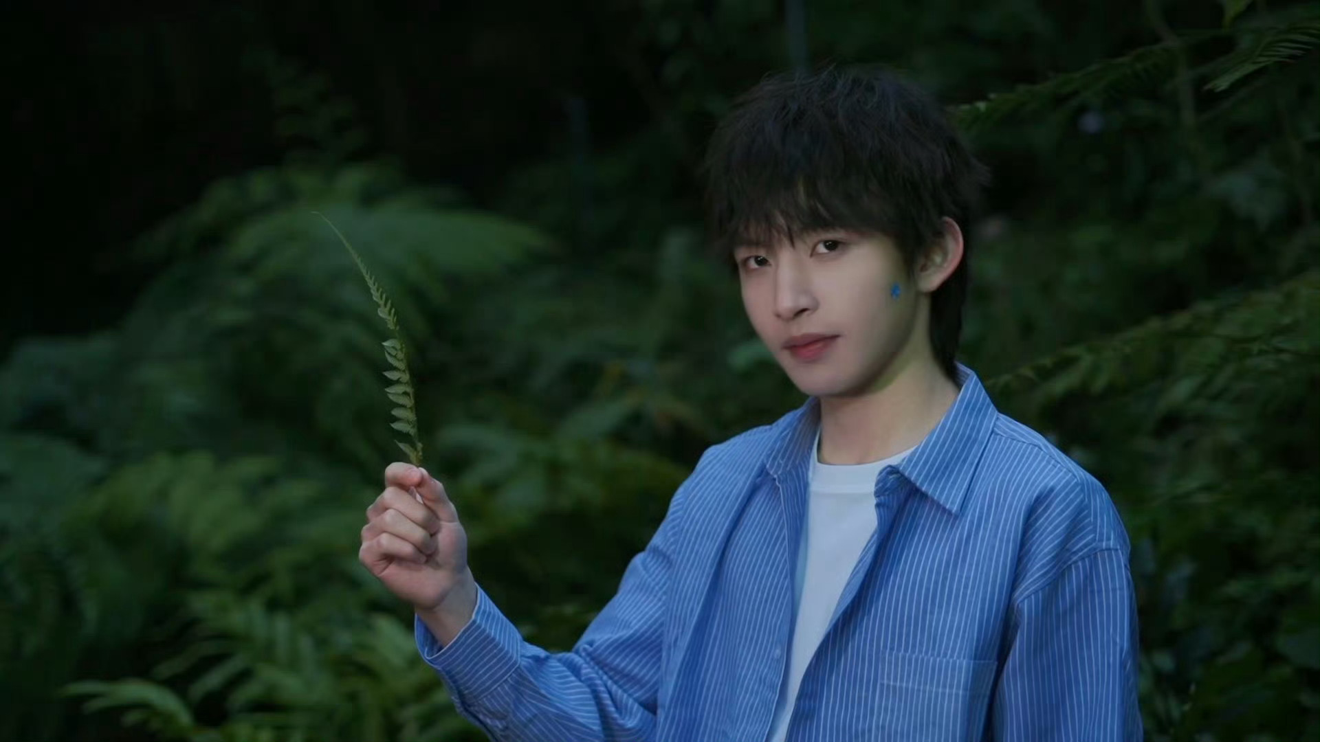 猛攻的鼠鼠大王  哇丢！好适合当动态壁纸2026pel春季赛2026pel