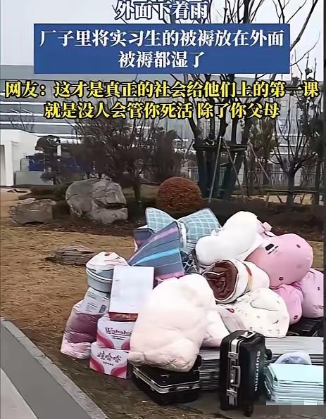 “长见识了！”1月20日，安徽芜湖某电子厂。一群实习生来到工厂报到。他们把行李箱