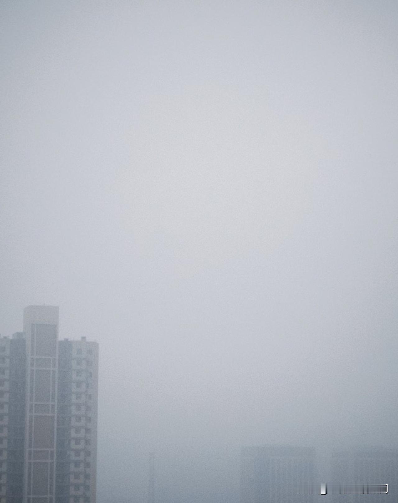 雾蒙蒙的天总带着一种朦胧的诗意，
看不清远方的时候，那就好好欣赏眼前的美吧。