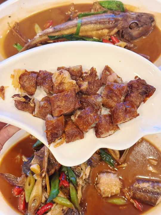 呼和浩特！！！神级小店！！！