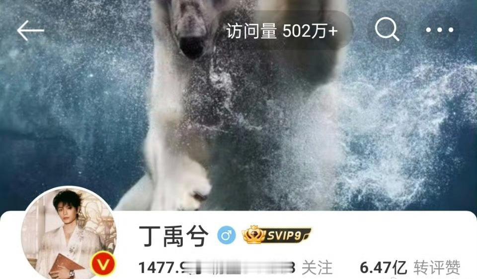 丁禹兮 主页访问量破500万了🔥！中餐厅有效露脸 ​​​