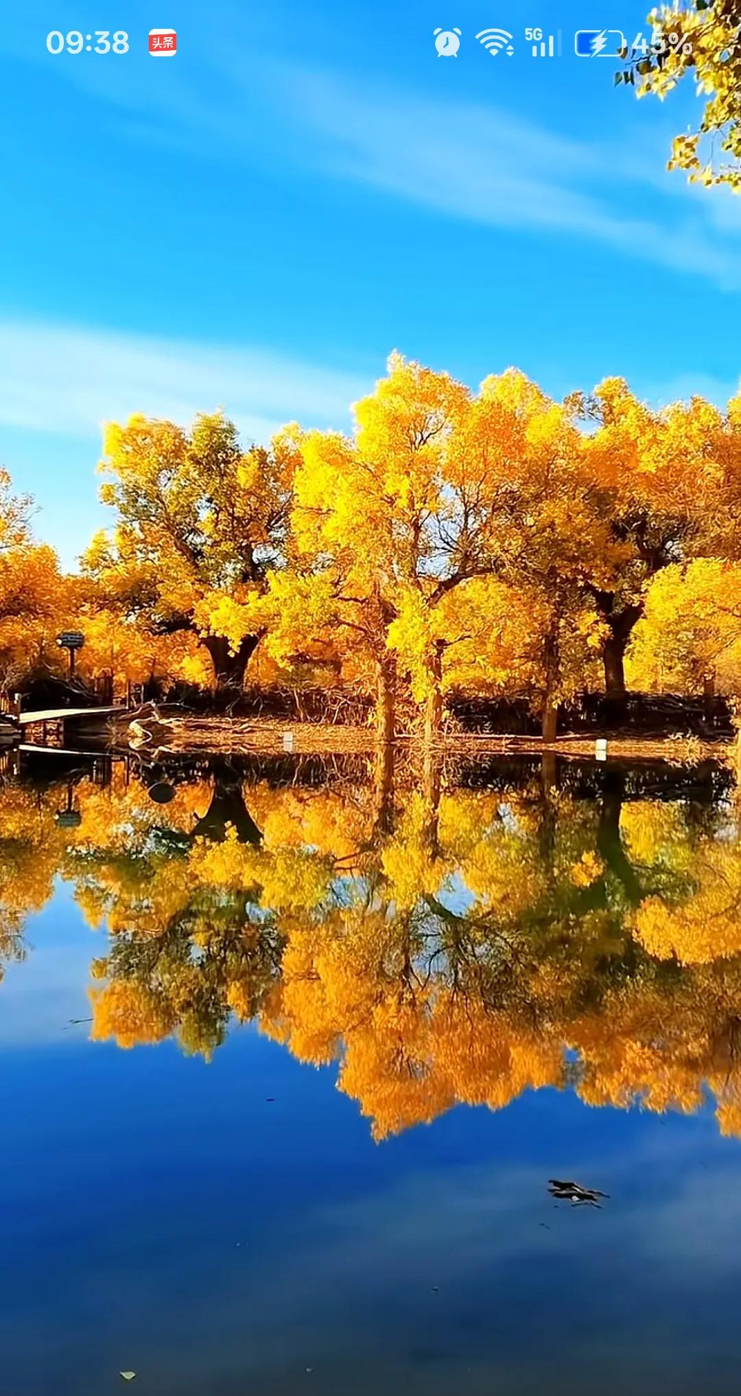 余秋雨最高光的时刻，应该是八十年代中期，上海戏剧学院开始为各大戏剧名家评职称的时