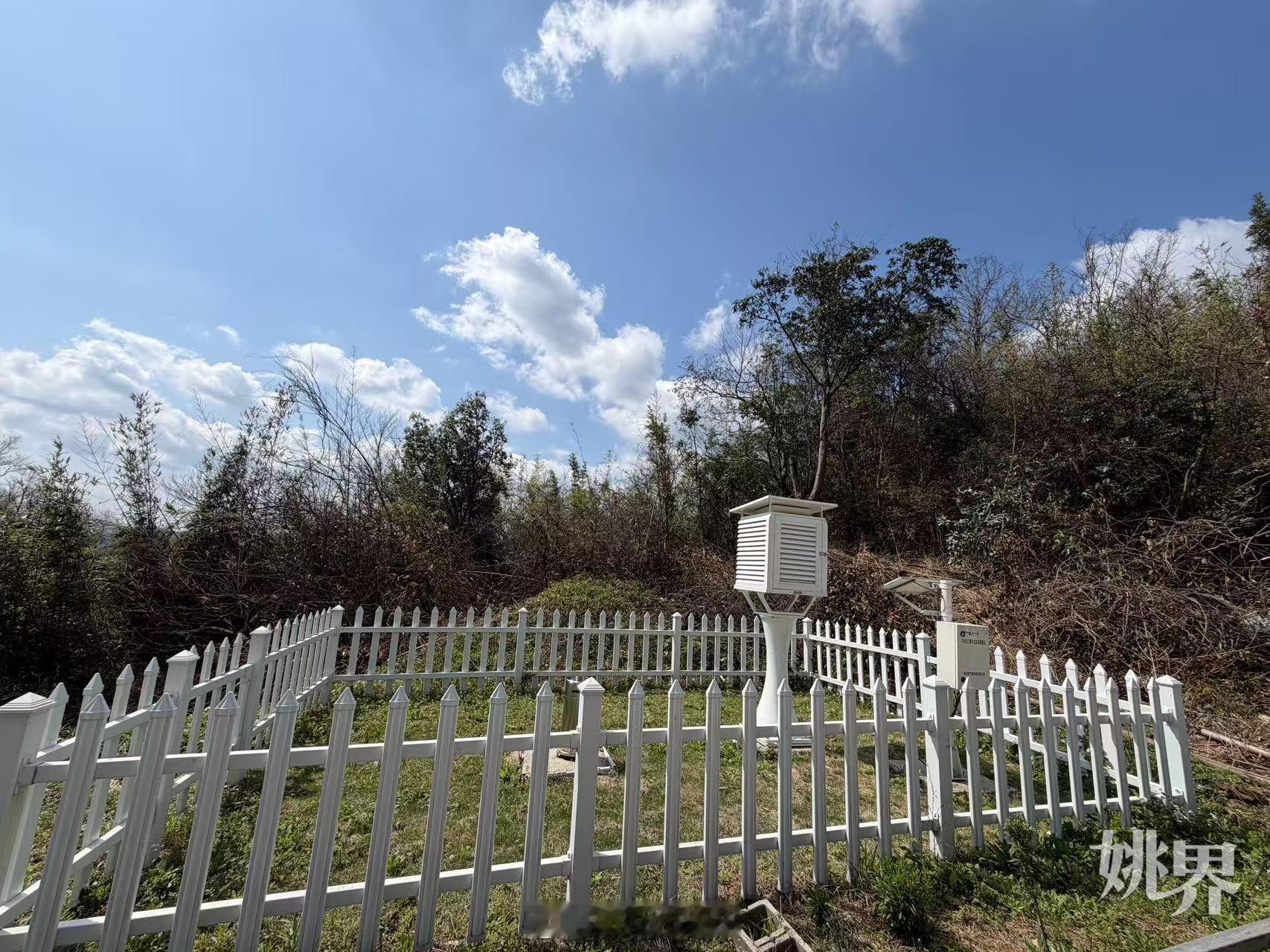 余姚多措并举为茶农撑起致富安心伞 余姚现有茶叶种植面积6万余亩，高山茶园易受早春