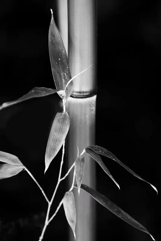 别怕慢！你并非认输，而是在默默扎根！
你是否快被焦虑逼得几近疯狂？
同龄人已年薪