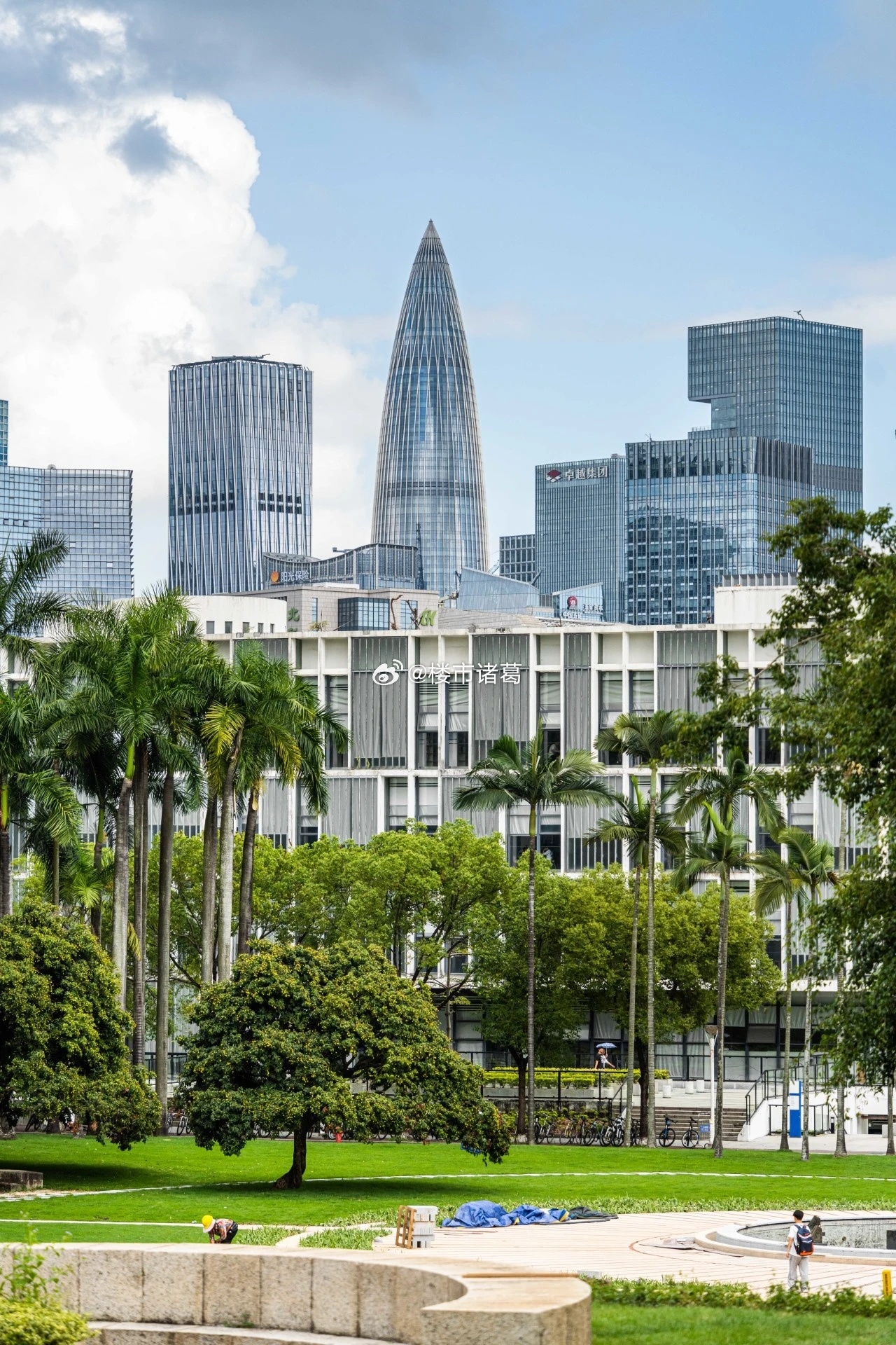 网友：去年深圳大学毕业，选的国际贸易专业，今年在一家外企，年薪15w，年假10天