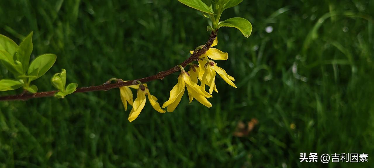 五个发小，有一个离我住的地方不远，却没有联系
发小，就是从穿开裆裤的时候就一起玩