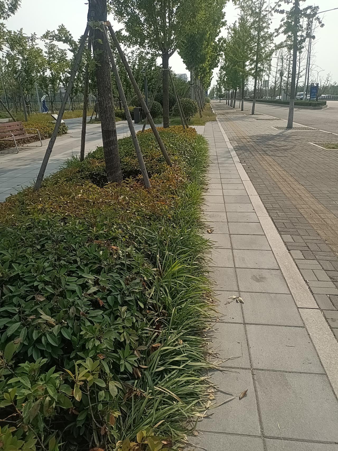 一位著名女明星说：“男人不好色，女人更寂寞！男人要是都跟唐僧似的，见着姑娘就念阿
