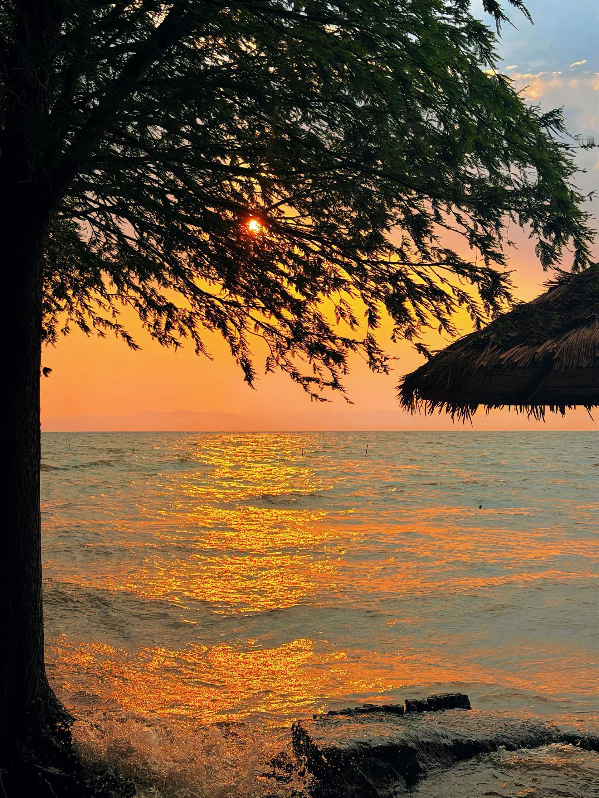 外面再喧嚣纷乱，好像都影响不到他们。他们有规律的生活、固定的爱好，坚持阅读，也有