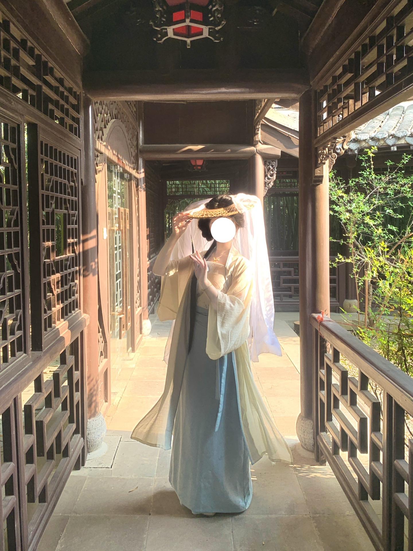 一株玉兰。