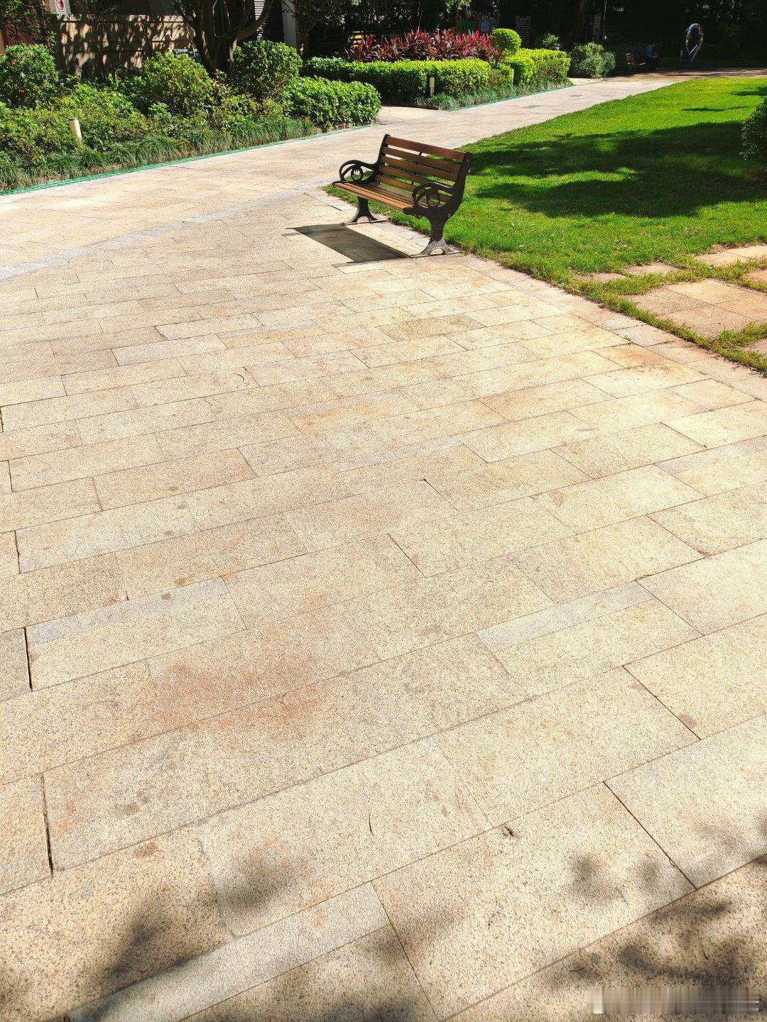 天气不错，在花园里走一走，活动一下。 