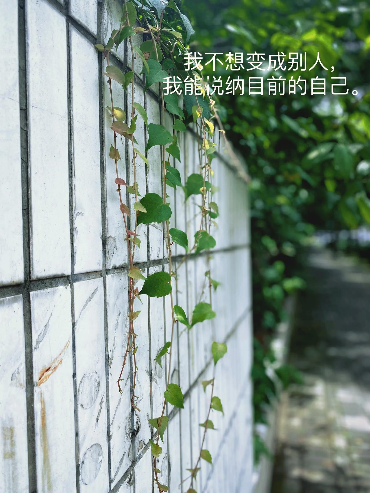 我不想变成别人，我能悦纳目前的自己。

你现在无法体会到幸福，因为你不会爱你自己