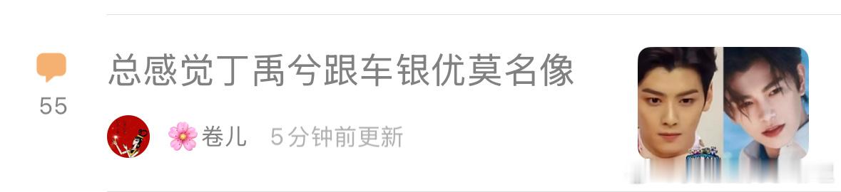 丁禹兮和车银优长得像吗？ ​​​