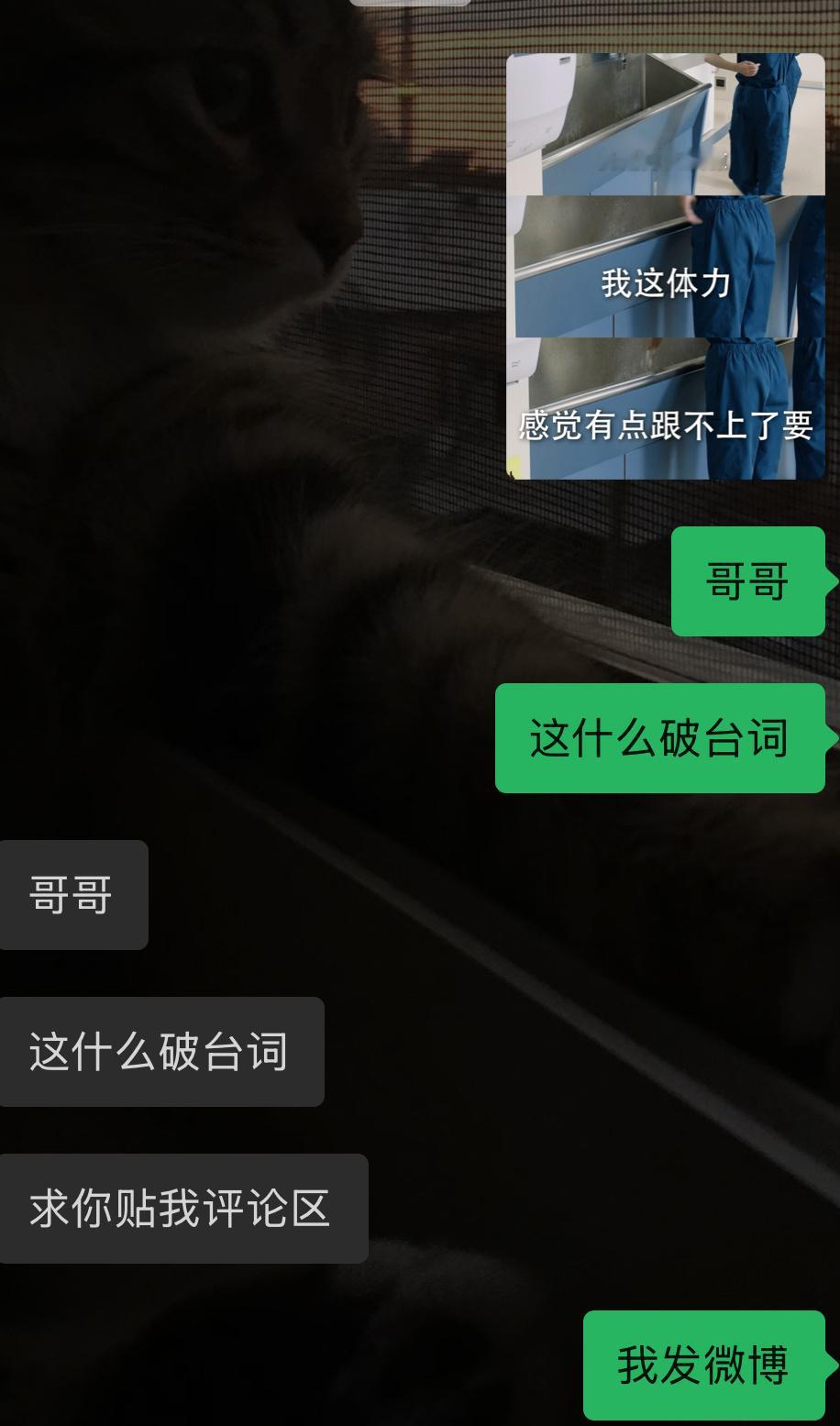 我就这样缺德 ​​​