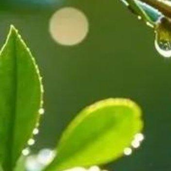 花出，花开，花盛，花枯，花落，有始有终… 