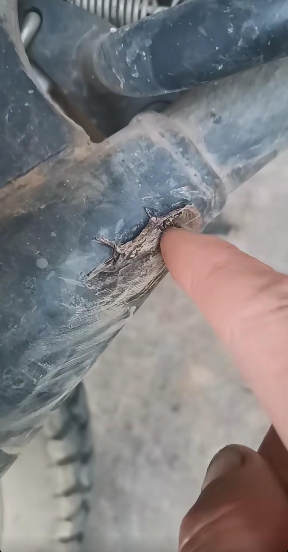 太倒霉了，被摩托车排气管把脚上的皮都烫下来了！痛死我了。 现在不知道用什么药疗效
