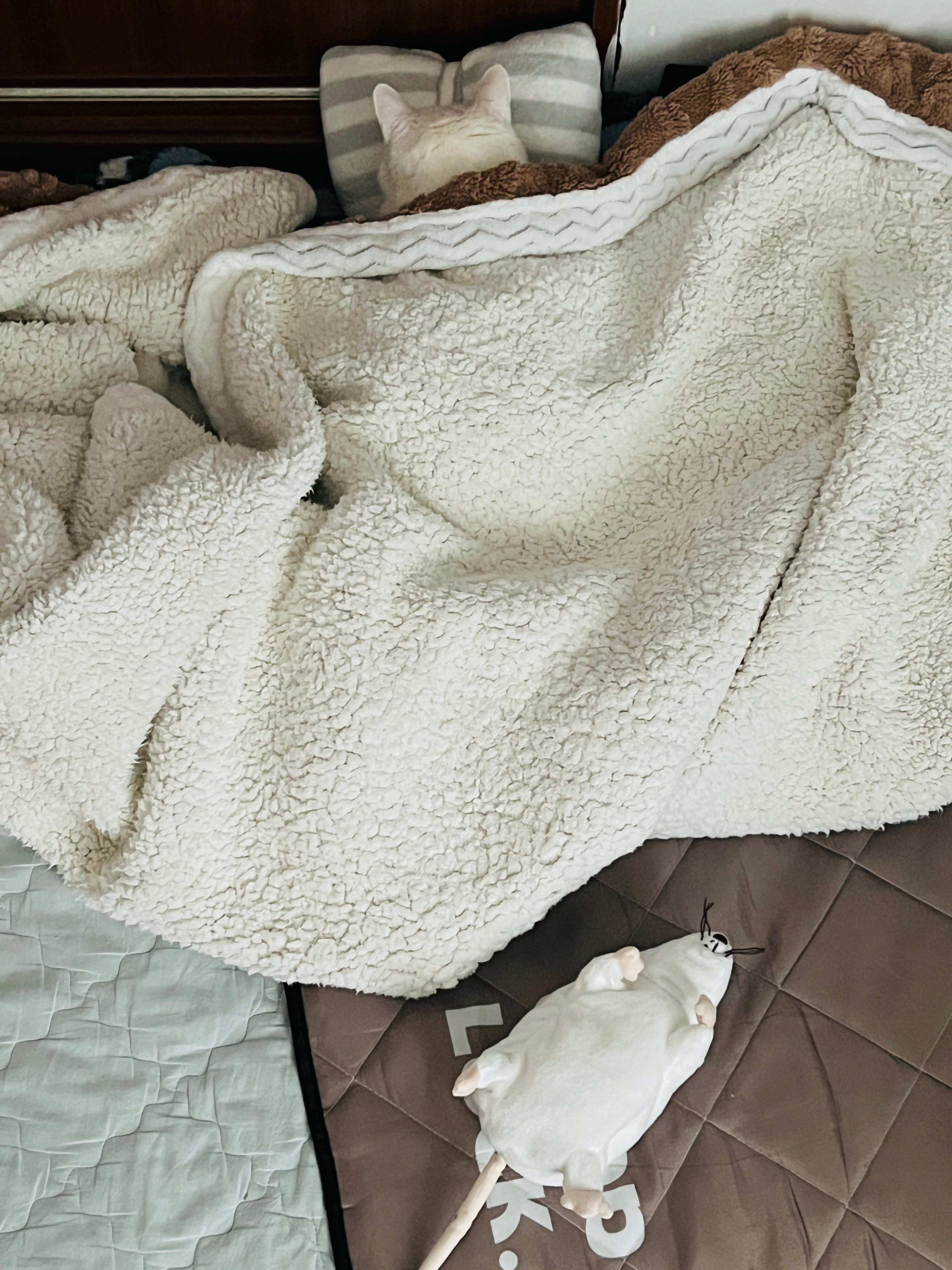 好想一起埋頭😌 