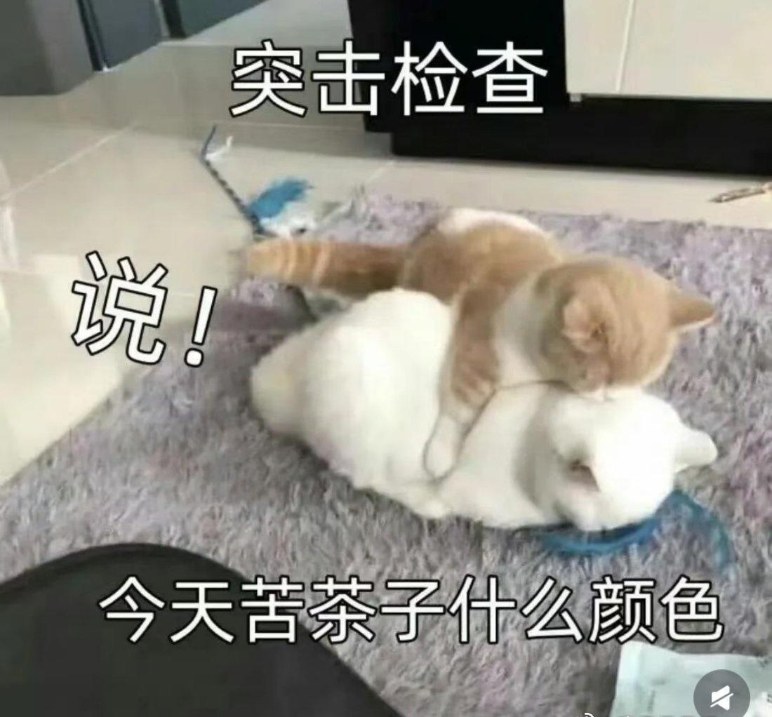 咦惹！
我在商店看到可爱小内内，想的居然是这个穿着挨打会很好看，买！啊啊啊啊，我