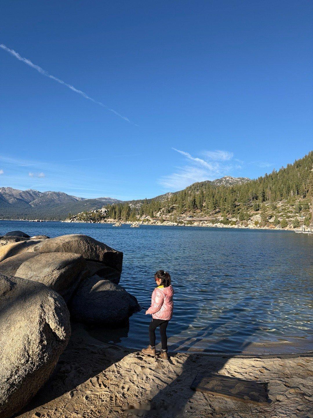 猫叔家日记 🎄🎉 