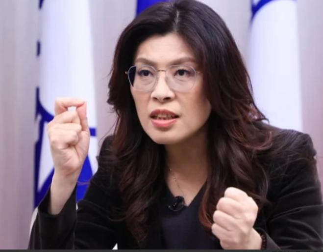 郑丽文终于藏不住了！6月8日，郑丽文发表涉两岸言论，批评了通过武力、强迫手段处理