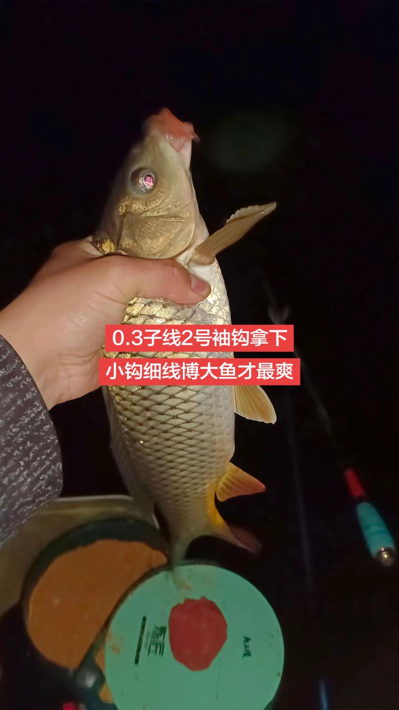 小钩细线博大鱼的快乐谁懂啊。