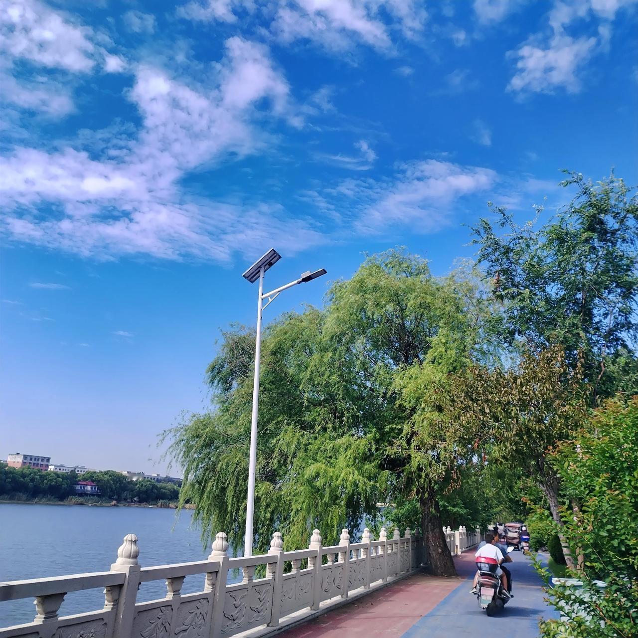 前天上午去沈丘大闸公园散步，看到立秋后的公园美景，拿起手机随手拍了几张照片，与大