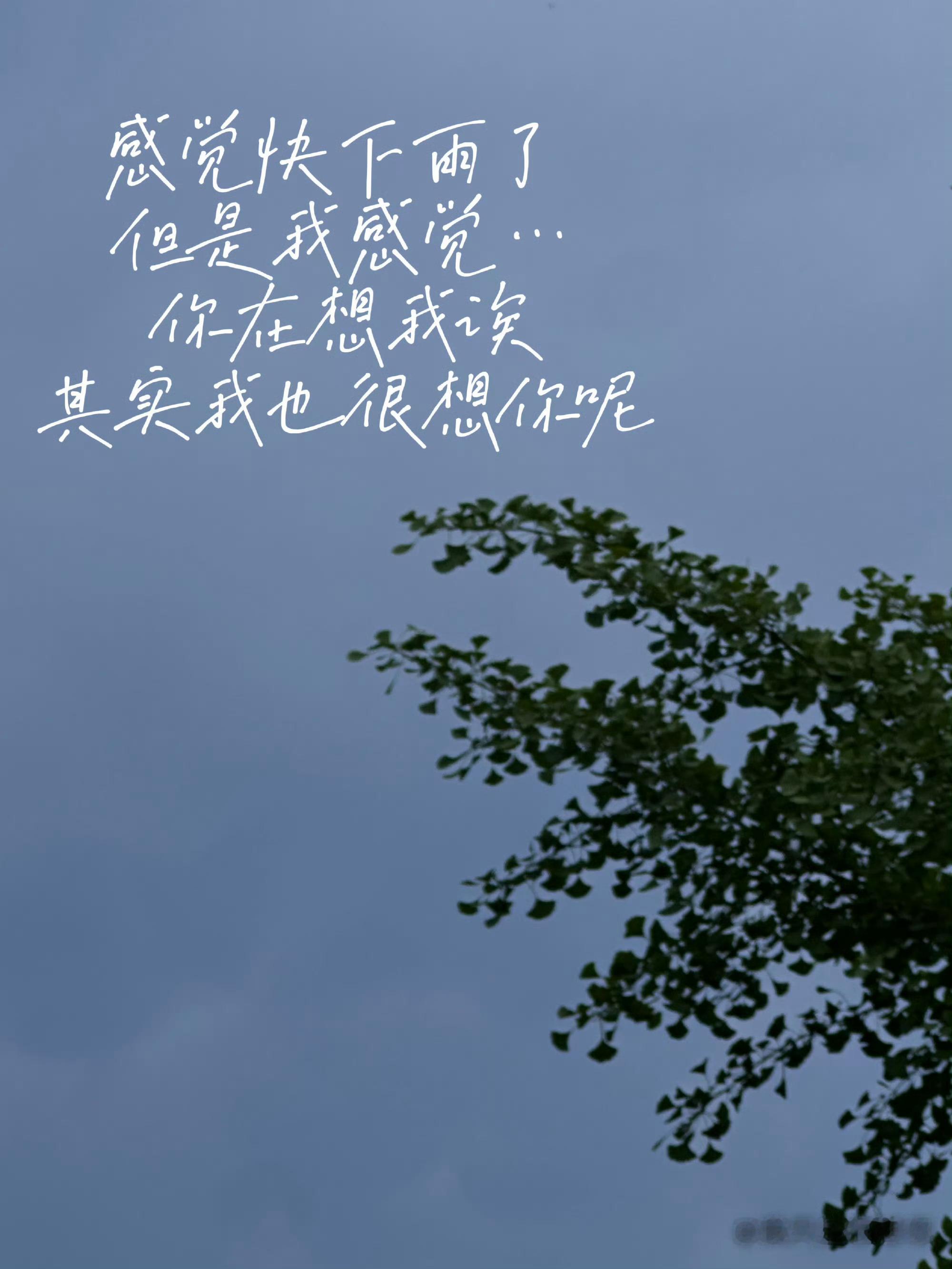 李煜东梦女诱捕器 李煜东发泡泡了🫧：“感觉快下雨了，但是我感觉……你在想我诶，