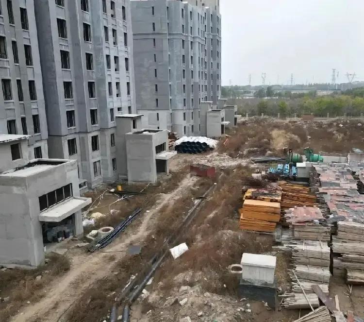 压垮东营蓝海集团的最后一根稻草，竟然是房地产开发！


在东营的蓝海集团以酒店，