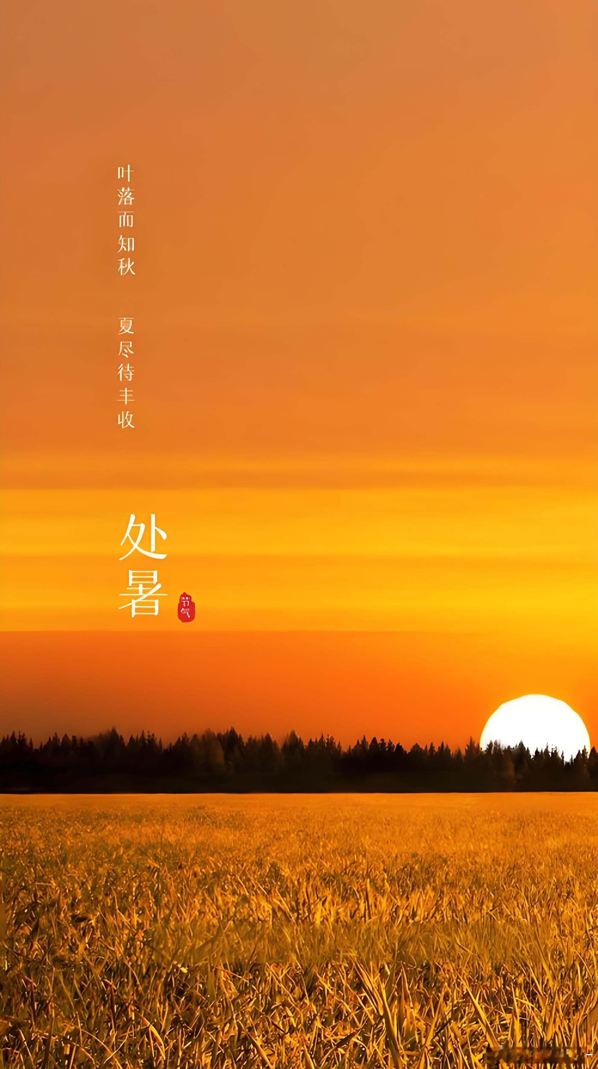 处暑，是二十四节气中的第十四个节气，也是秋季的第二个节气。残暑蝉声远，新凉雁阵惊