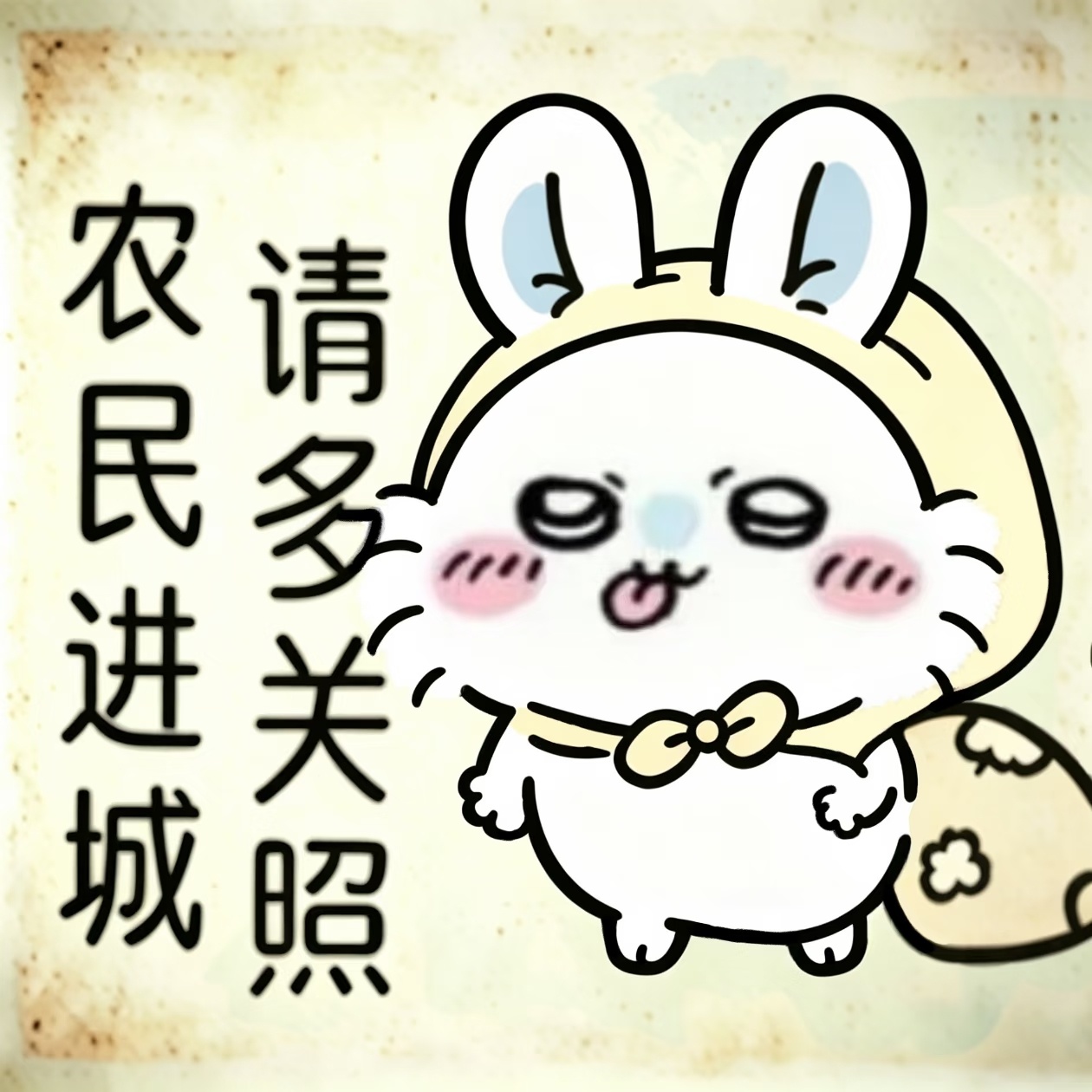 分享图片 ​​​