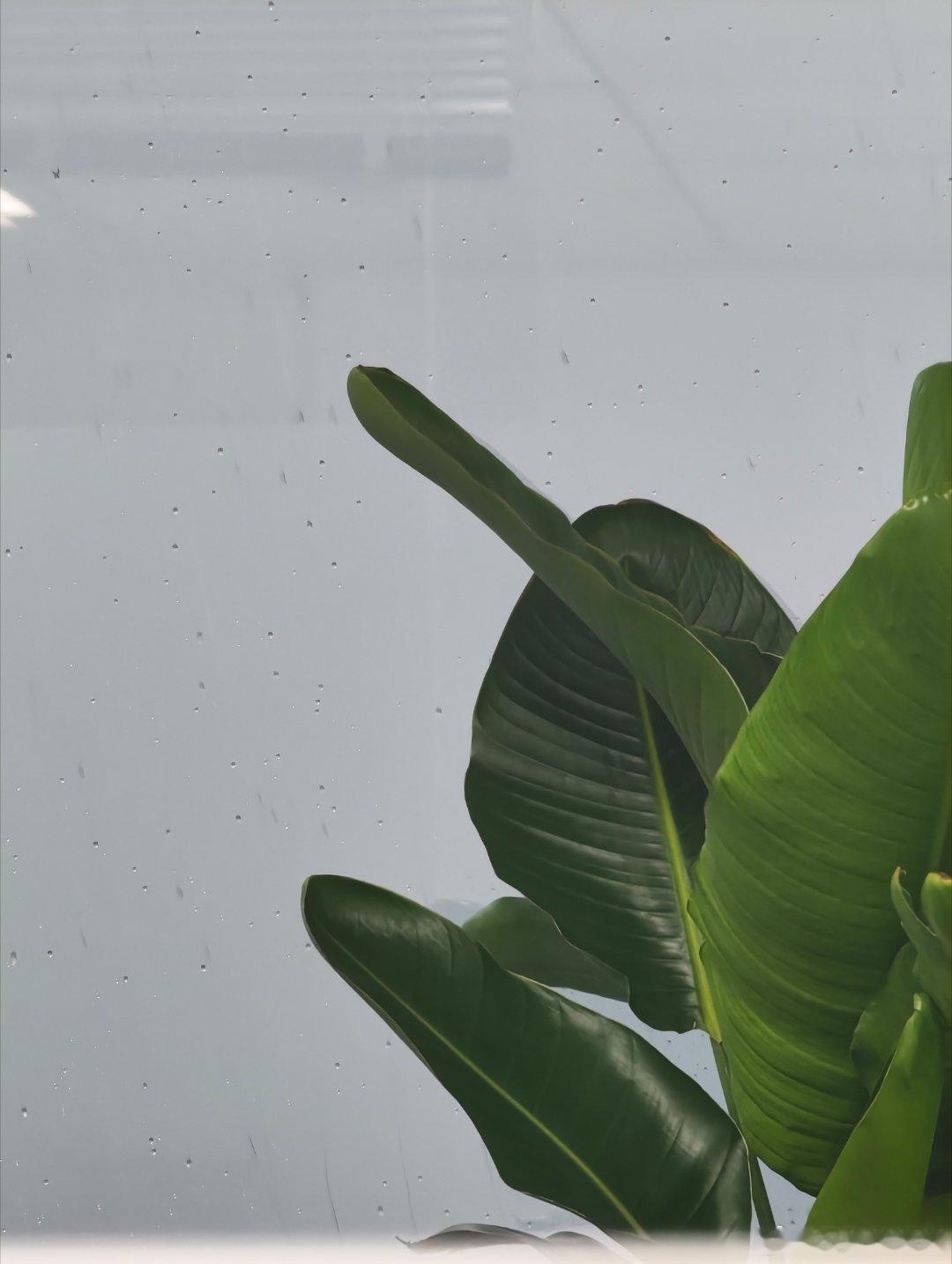 这倒霉天气，要下班了，那么大的雨🌧 