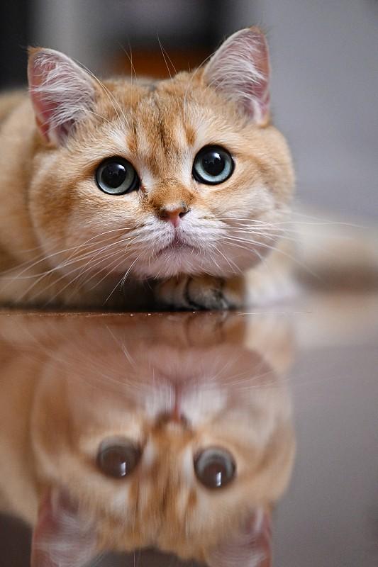 今天下班早。去公园跑步。真舒服呀。不冷不热的。真好。明天下班早，还去