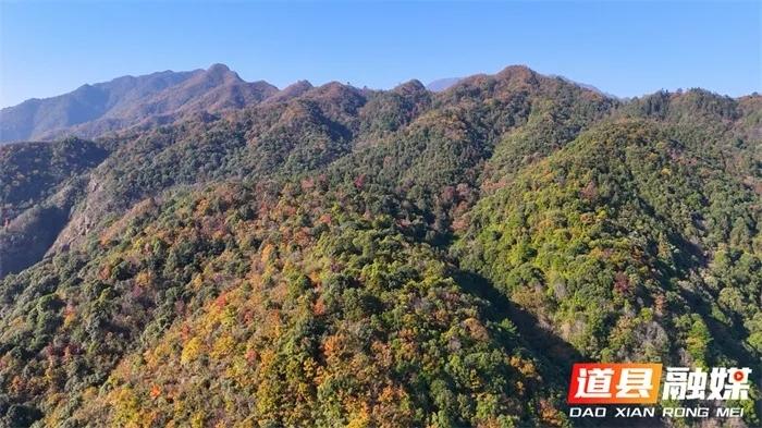 山坡羊·初冬都庞岭
初冬寒骤，
都庞妍秀，
红黄林木山川绣。
岭如虬，韵长留，