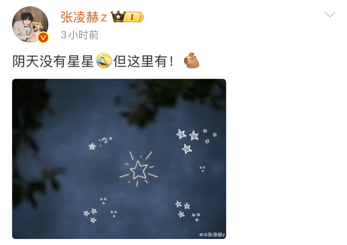 张凌赫给粉丝画星空阴天也挡不住的浪漫，是来自给粉丝画的专属星空，此摩羯男真的太会