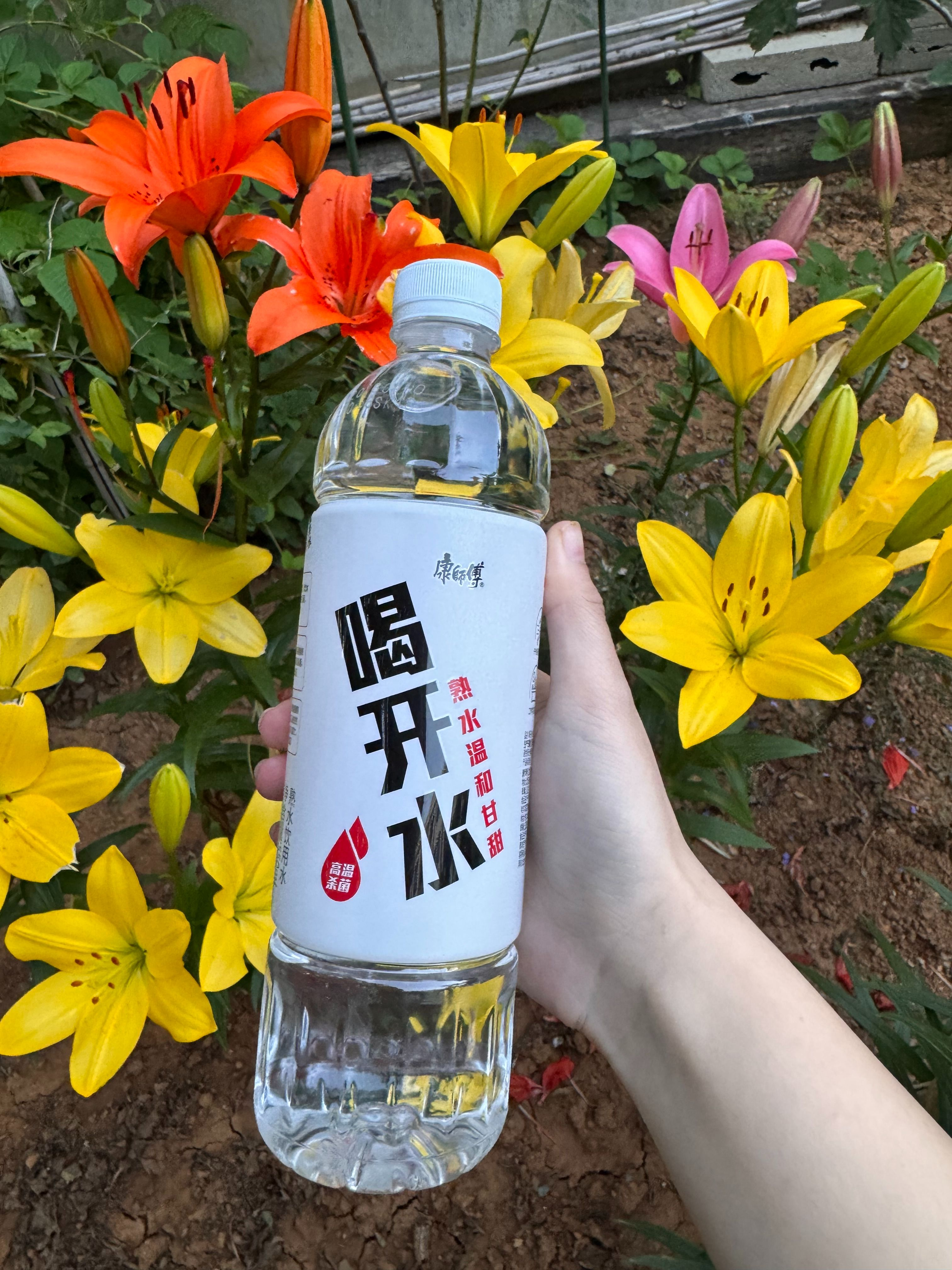 我的追剧本命水！《问心 2》同款，好喝还自带氛围感～只喝水不喝饮料的朋友康师傅喝