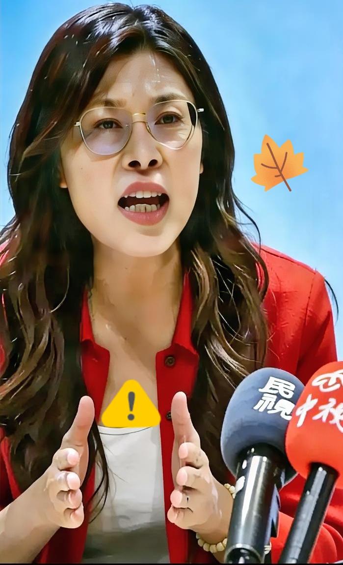 一招制敌！郑丽文抛出“复兴中华”大旗，侯友宜与本土派陷入被动
 
在一场备受关注