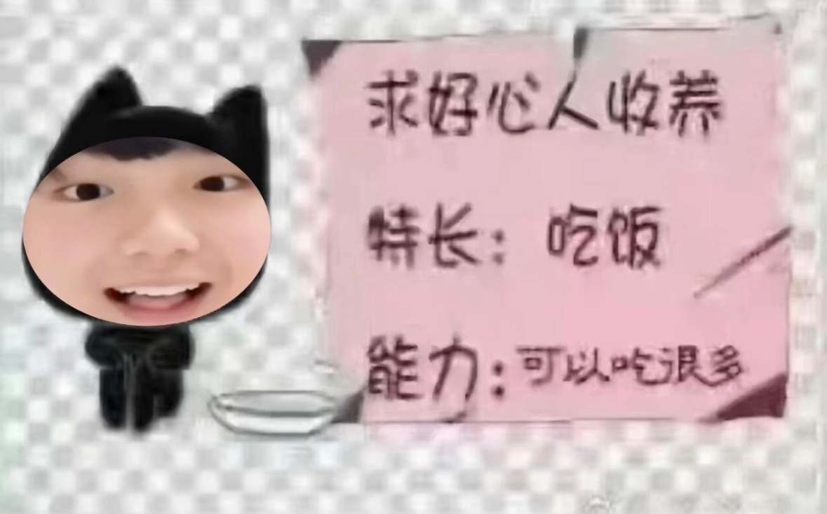 应该收养这只皓咪吗？苏新皓一路向海的少年