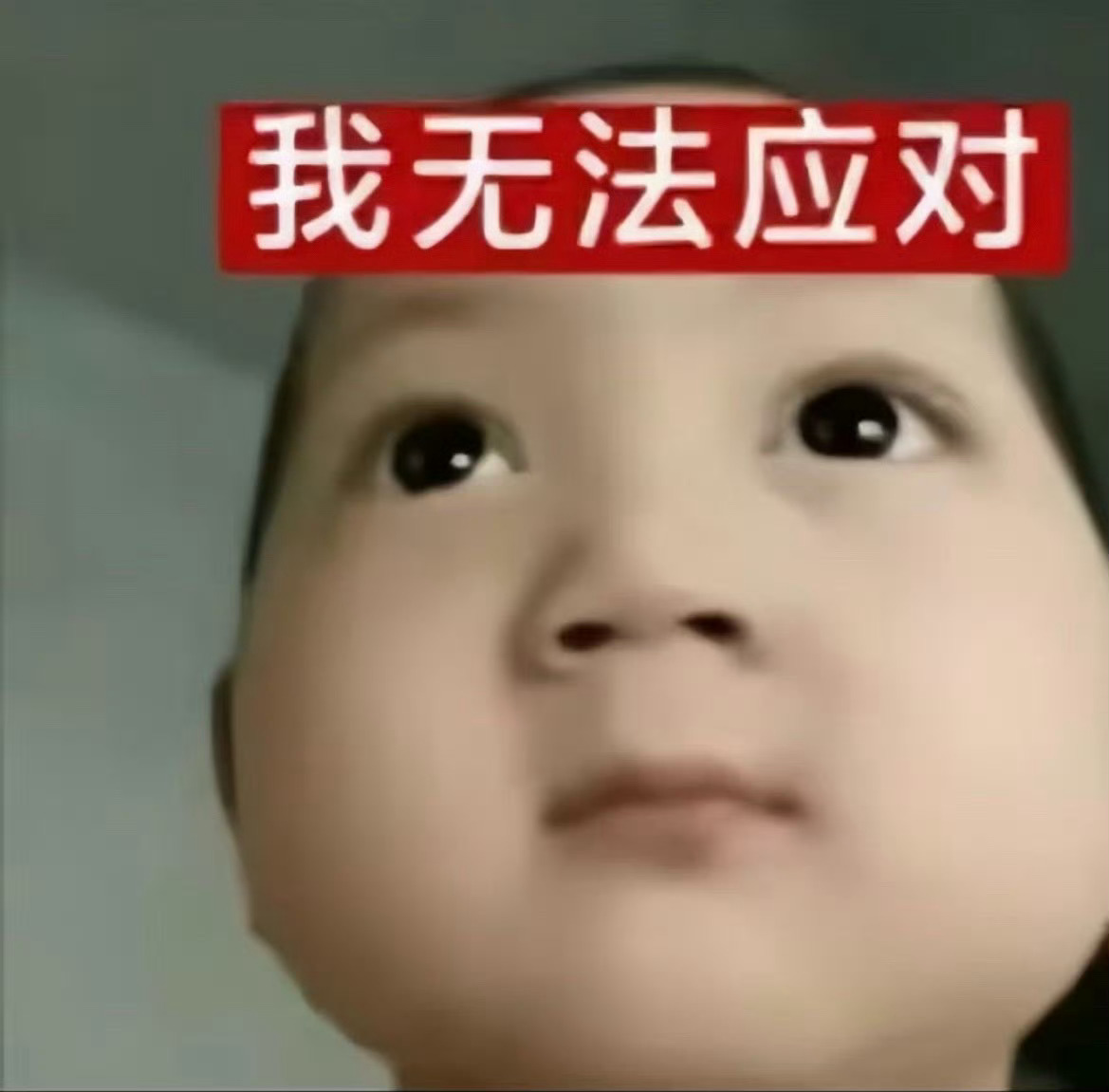 从去年8月份开始，我感觉我的wb账号、🫘账号、b站账号不对劲，经常会莫名其妙收