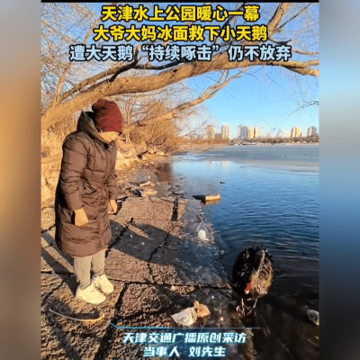 冰湖激战！天津大爷大妈硬核救鹅反遭啄击，全网泪目：这才是真爷们！
 
 "冰面裂