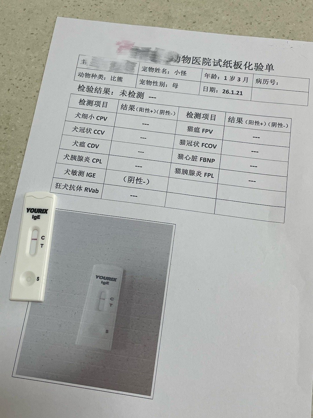 痒挠啃自己啃的毛都没了一顿化验抽血检查五百块进去什么病状连过敏都没有最后结论尼玛