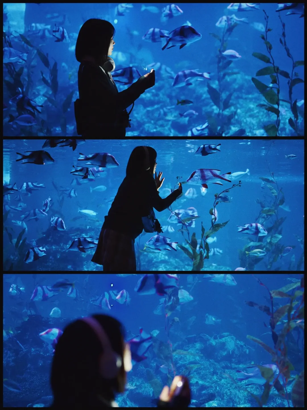 成都拍照圣地📸潜入蓝海幻梦一场🌊巨出片❗️